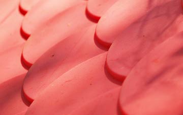 Strone plastic roof costs