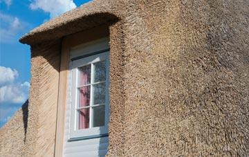 Strone thatch roof disadvantages
